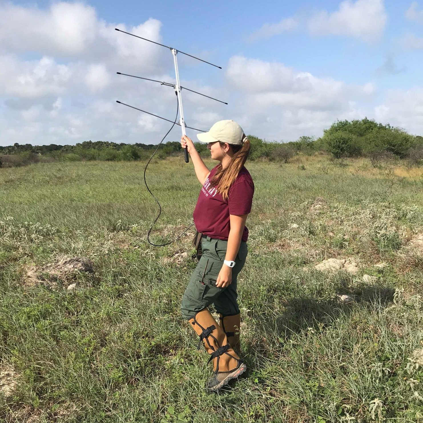 A female student stands in a field using a radio telemetry device. 