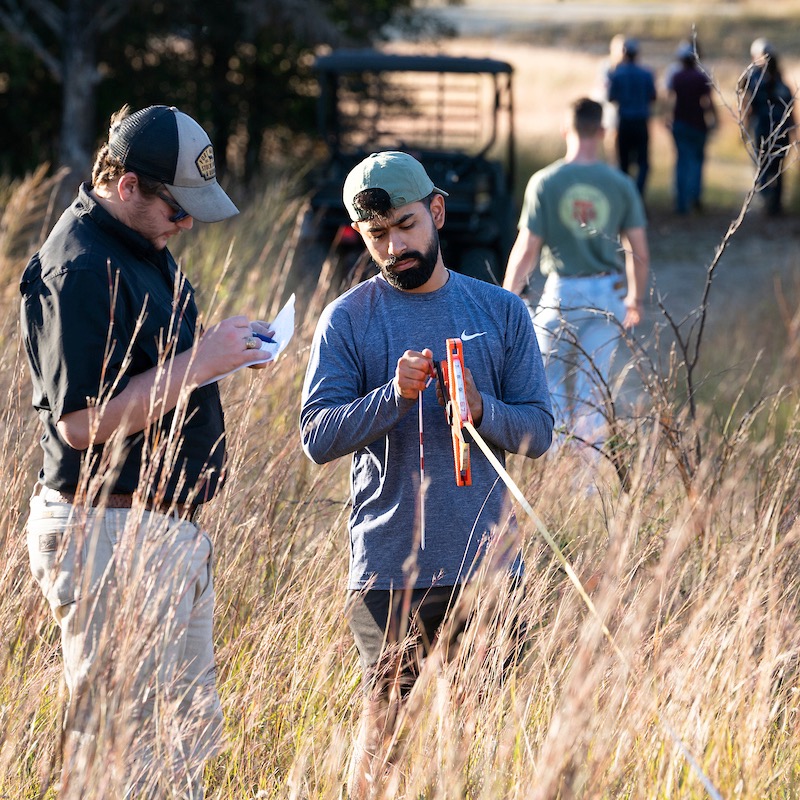 Students measuring a distance outside in tall dead grass