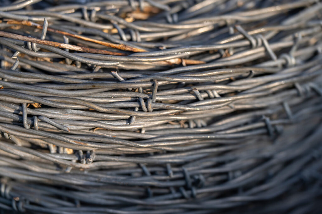 A close up of a roll of barbed wire. 