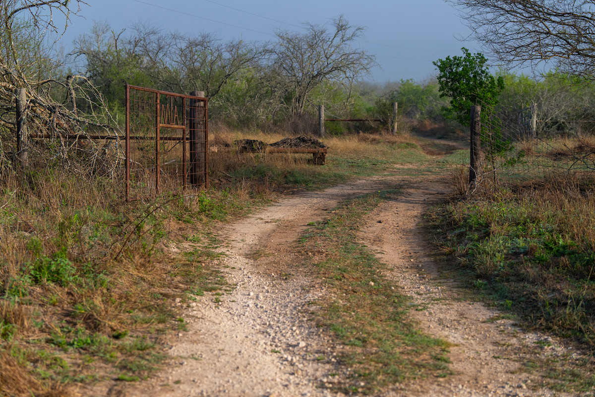 A dirt road leads into the distance through an open gate.