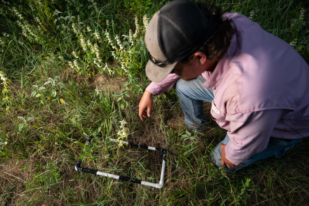 A student uses a survey square to assess vegetation. 