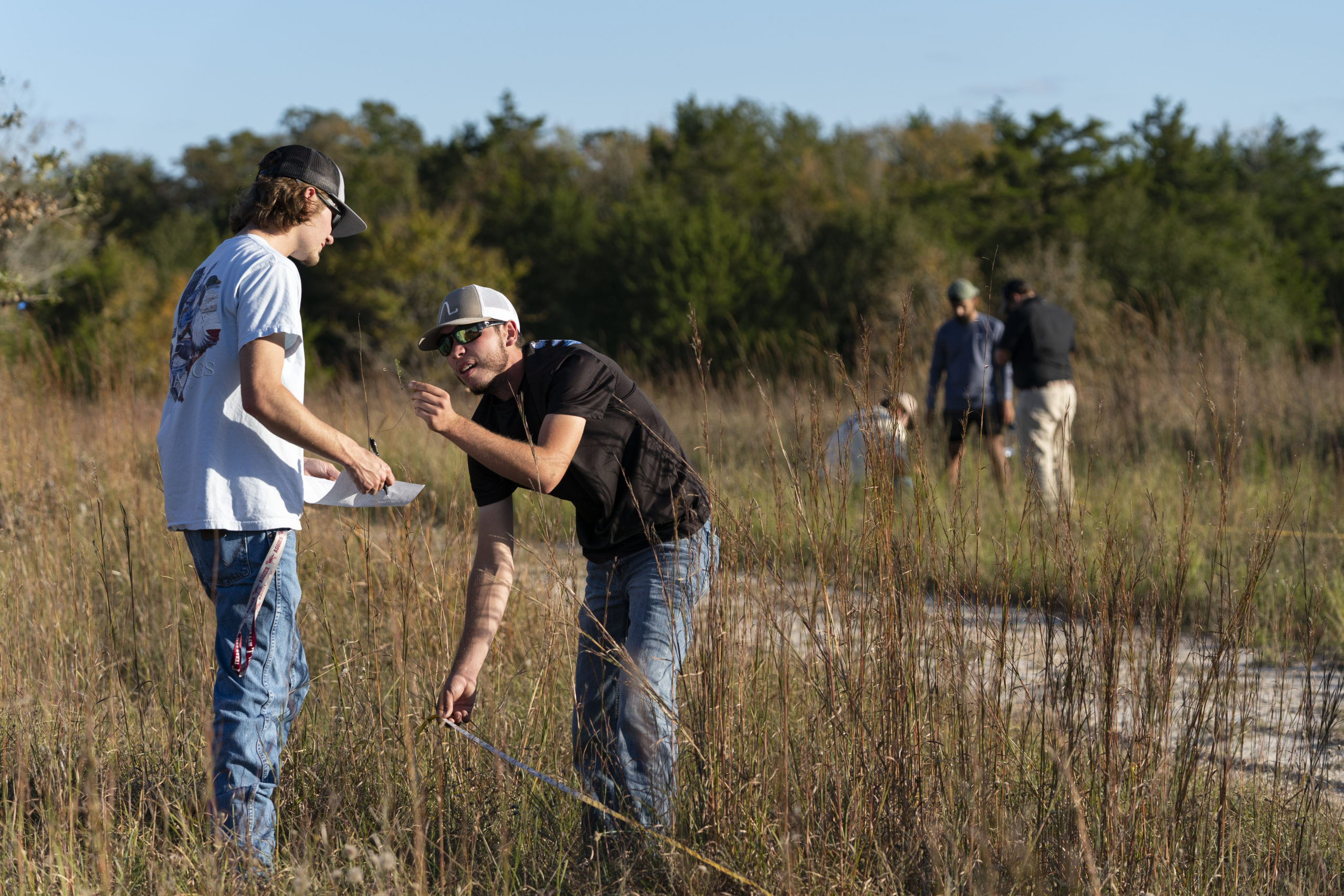 Two male students in the foreground examining pieces of tall grass. One holds a piece of grass, the other a pen and paper. More students are in the background doing the same.