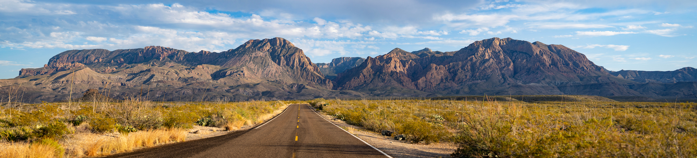 Desert landscape featuring desert flora and distant mountains. A road stretches from the foreground towards the background.