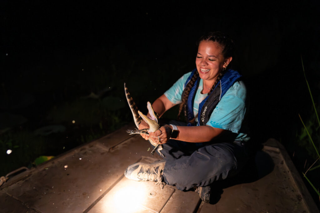 Woman holding a baby alligator by its torso 