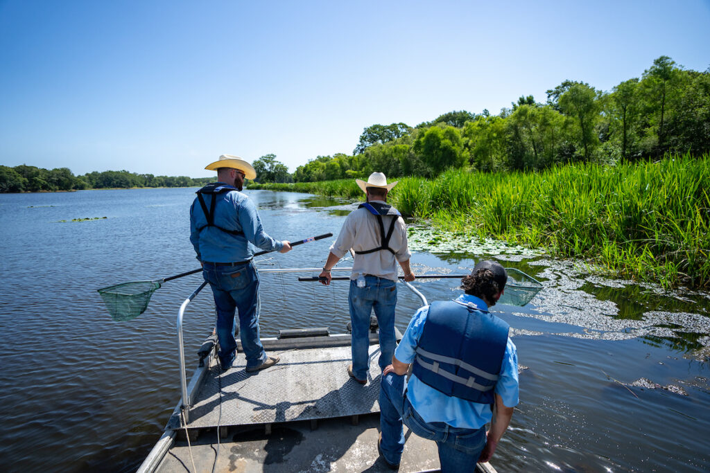 Three men stand on a boat holding fishing nets