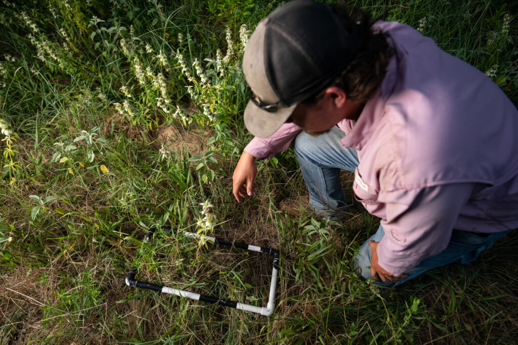 A man kneels in a grassy field, observing plants within a rectangular PVC frame conducting an environmental survey