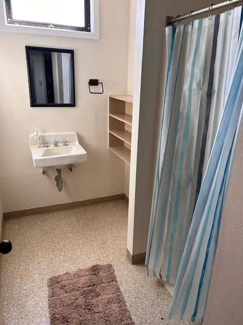 A bathroom with a shower and sink.