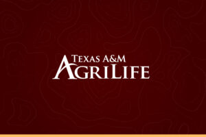 Texas A&M AgriLife in white on a maroon background
