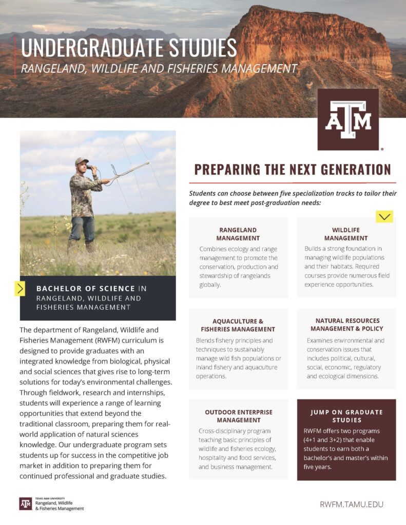 A page providing an overview of undergraduate programs.